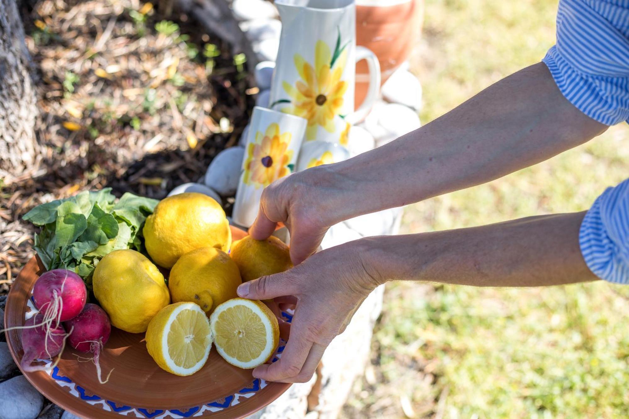 Villa Greek Traditional Summer At Julia Kolymbia